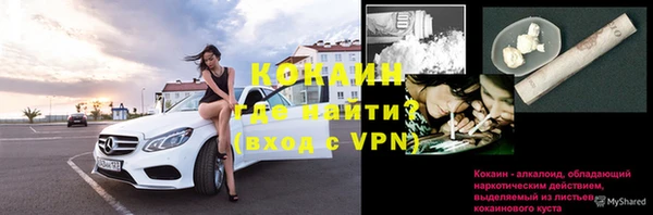 прущие грибы Зерноград