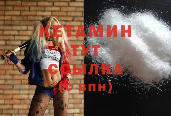 прущие грибы Зерноград