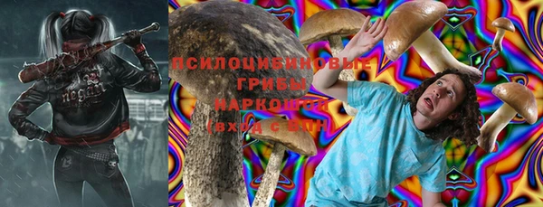 прущий лед Инсар