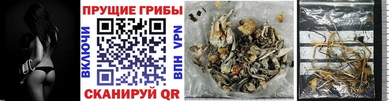 Купить закладки  Лобня  Галлюциногенные грибы GOLDEN TEACHER 